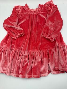 Pink Chicken velour harper dress 2t